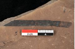 Foto (Detailansicht) von Zostena ungeri Ettingshausen (NHMW-GEO-2024-0188-0444)